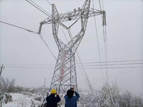 陇东南突发降雪覆冰灾害,国网甘肃电力全力以赴保供电